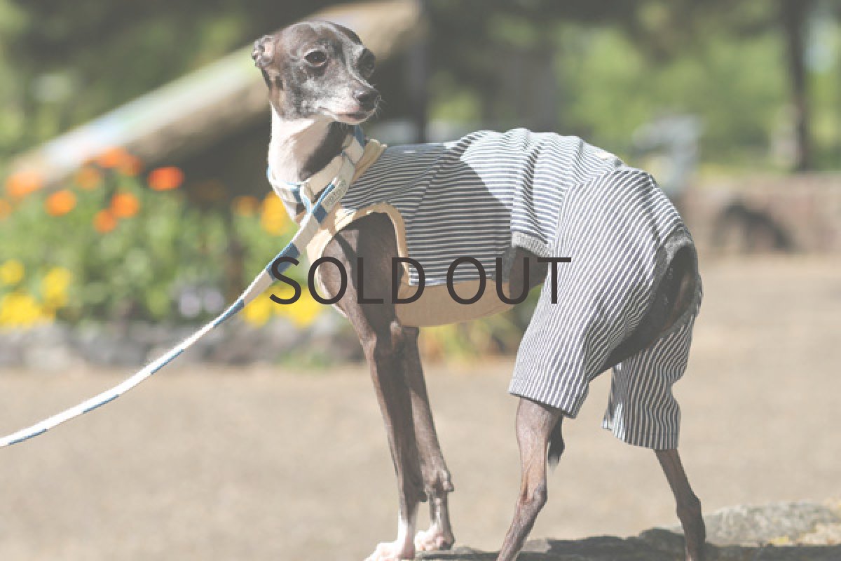 画像5: ヒッコリーデニム（ベージュ杢） (5)