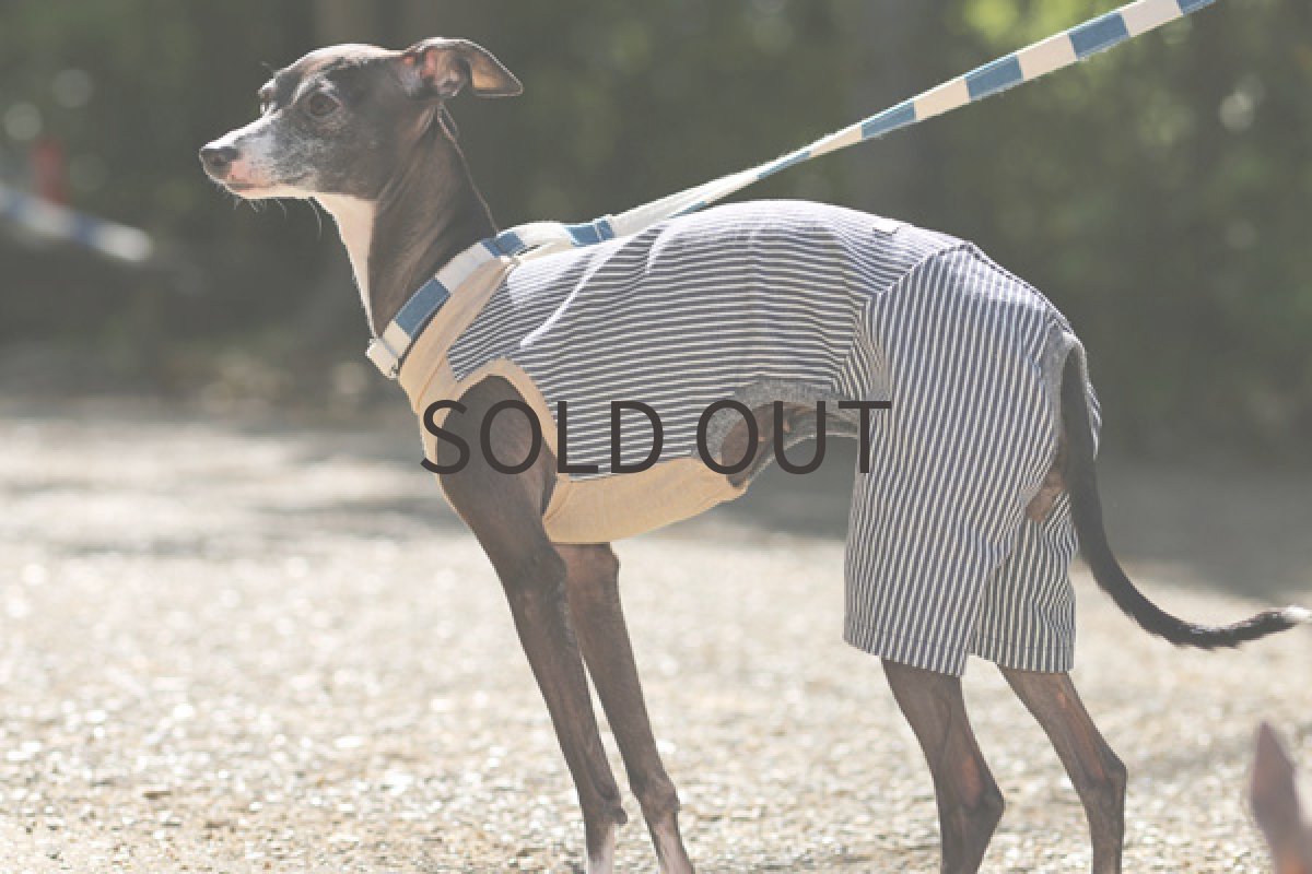 画像2: ヒッコリーデニム（ベージュ杢） (2)