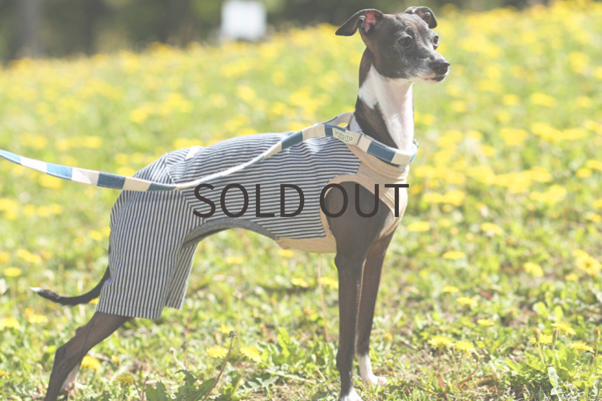 画像4: ヒッコリーデニム（ベージュ杢） (4)