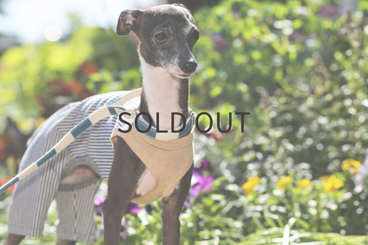 画像3: ヒッコリーデニム（ベージュ杢） (3)