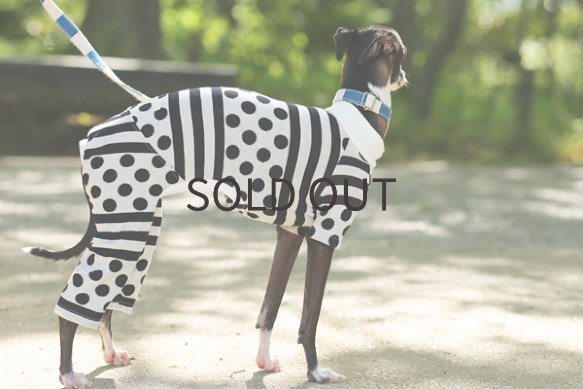 画像5: ドット＆ボーダー（白ベース） (5)