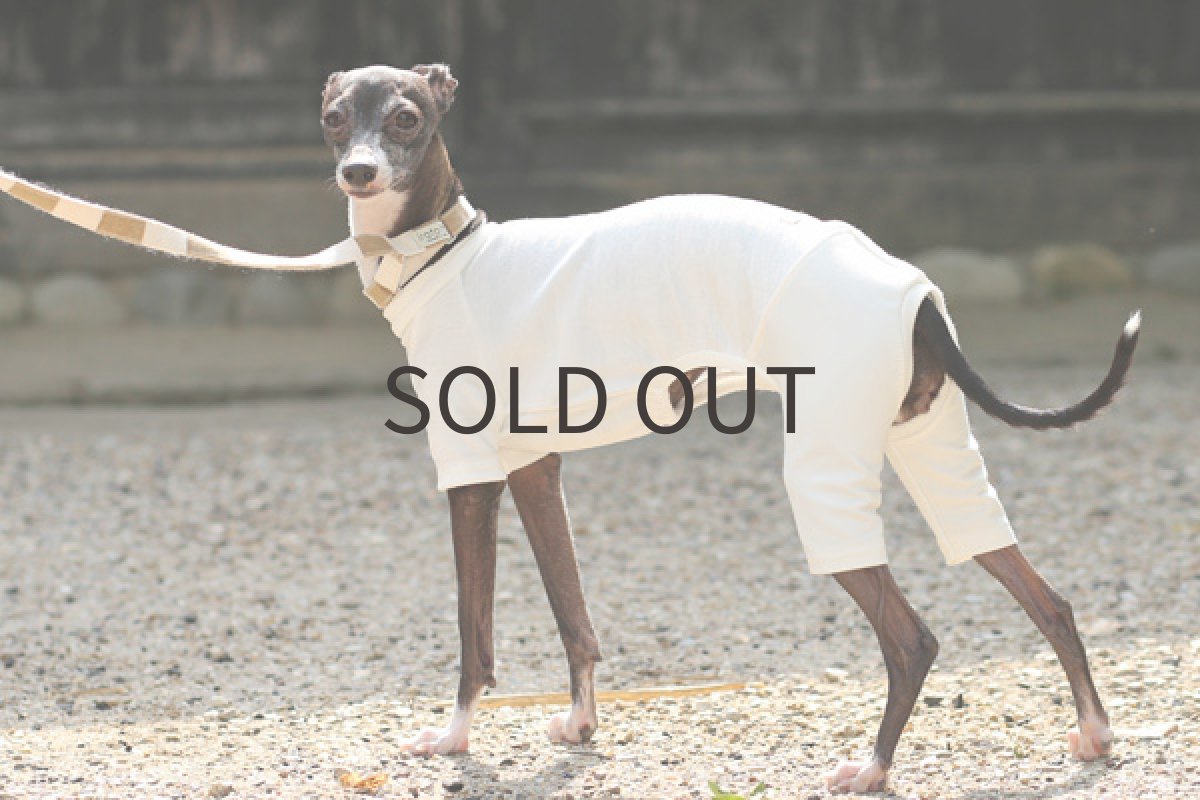 画像4: ホワイトパイルボーダー 〜Mサイズまで (4)