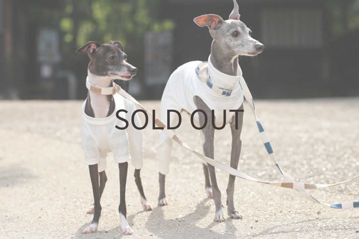 画像3: ホワイトパイルボーダー 〜Mサイズまで (3)