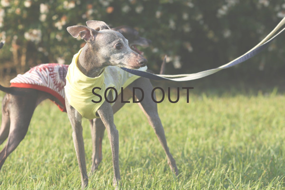 画像3: しわ加工 ガーネット（レモン） (3)