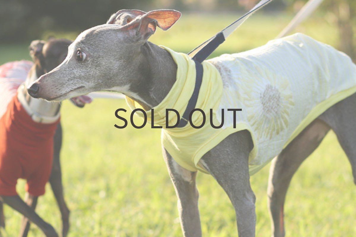 画像2: しわ加工 ガーネット（レモン） (2)