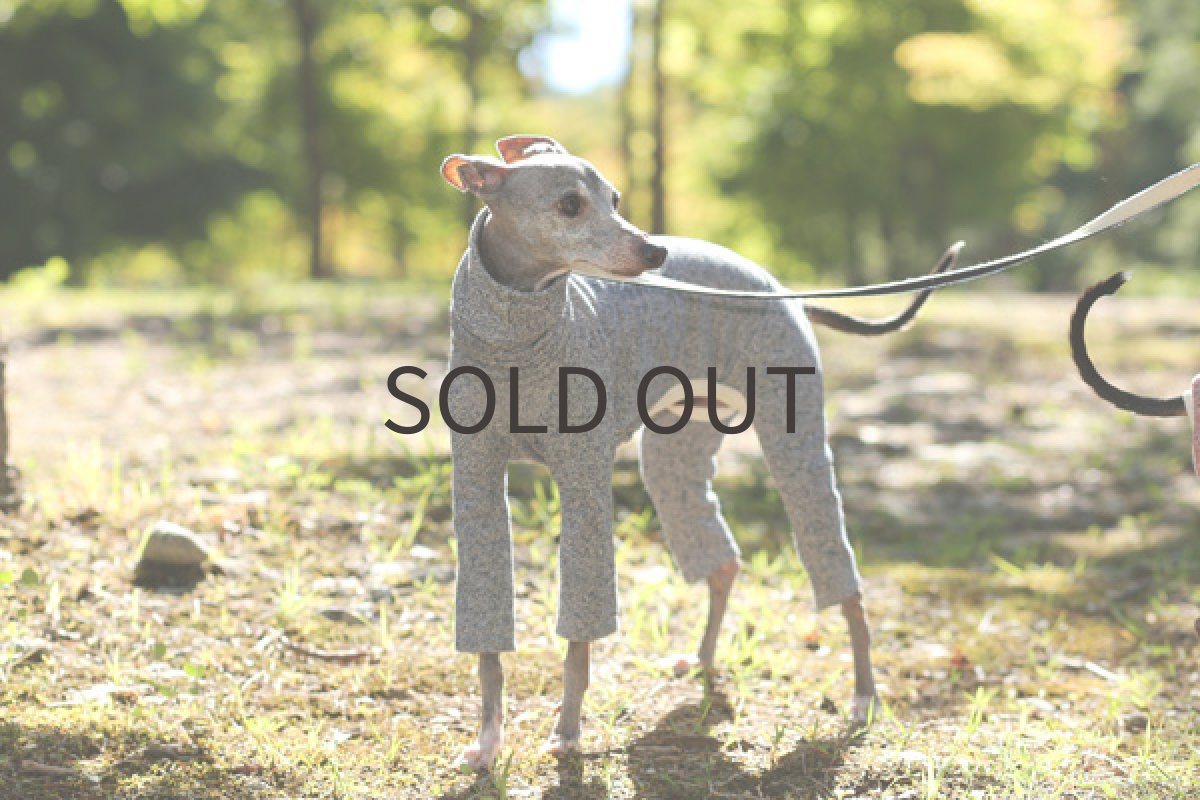 画像2: やわらか裏毛ニット（ネイビー） (2)