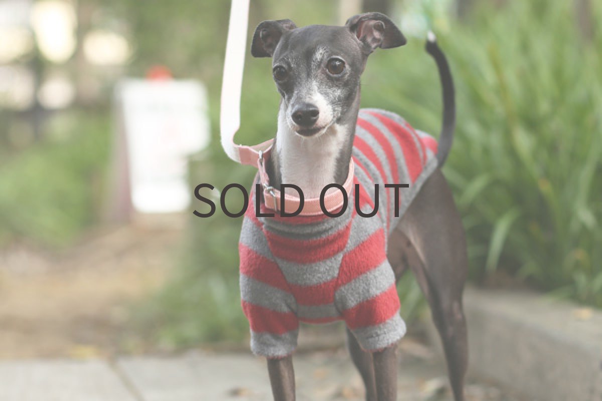 画像5: シャツ：しましまフリース（レッド） (5)