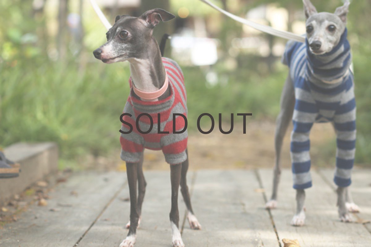 画像2: シャツ：しましまフリース（レッド） (2)