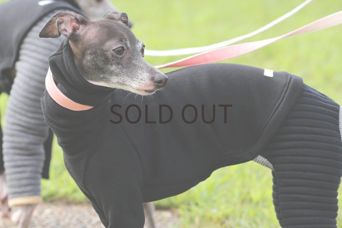 画像4: ボーダーキルトのパンツ（ブラック） (4)