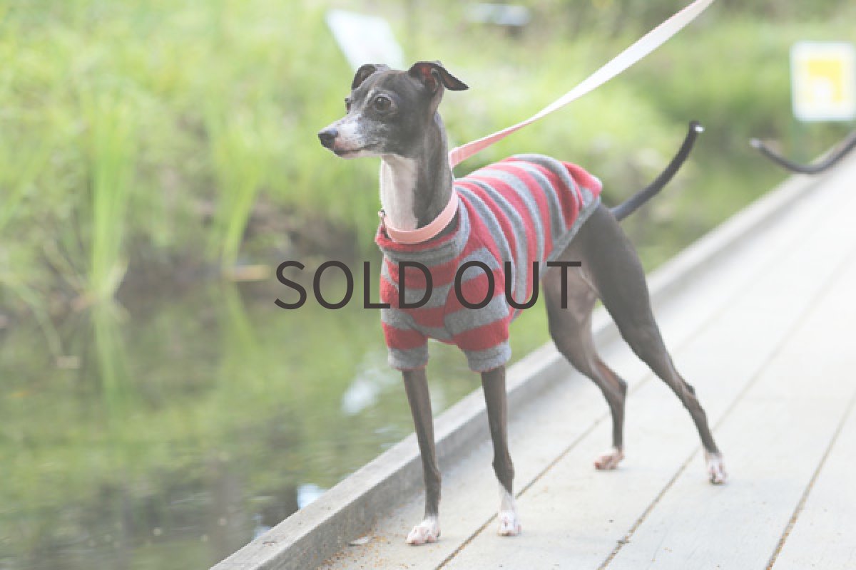 画像4: シャツ：しましまフリース（レッド） (4)