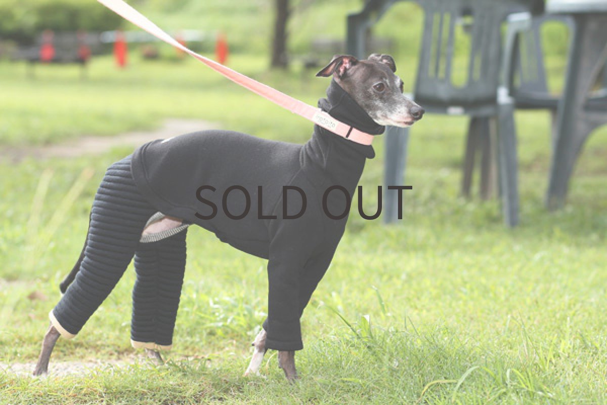 画像3: ボーダーキルトのパンツ（ブラック） (3)