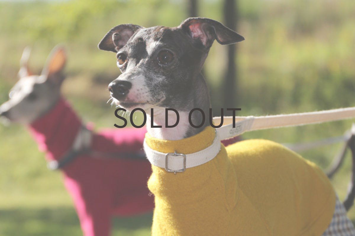 画像3: クレーター圧縮ウール(イエロー)〜Mサイズまで (3)