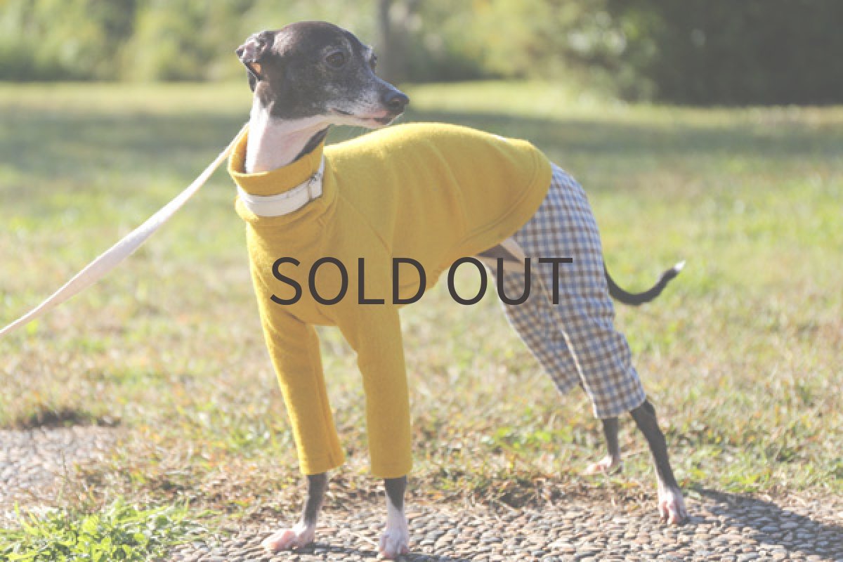 画像5: クレーター圧縮ウール(イエロー)〜Mサイズまで (5)