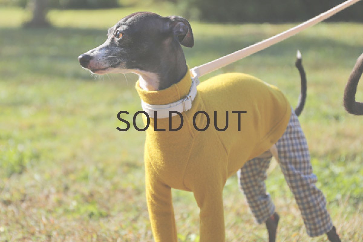 画像2: クレーター圧縮ウール(イエロー)〜Mサイズまで (2)