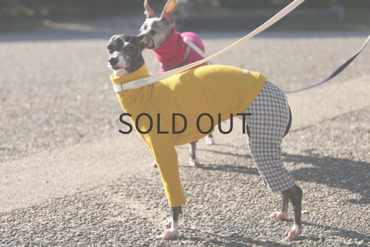 画像4: クレーター圧縮ウール(イエロー)〜Mサイズまで (4)