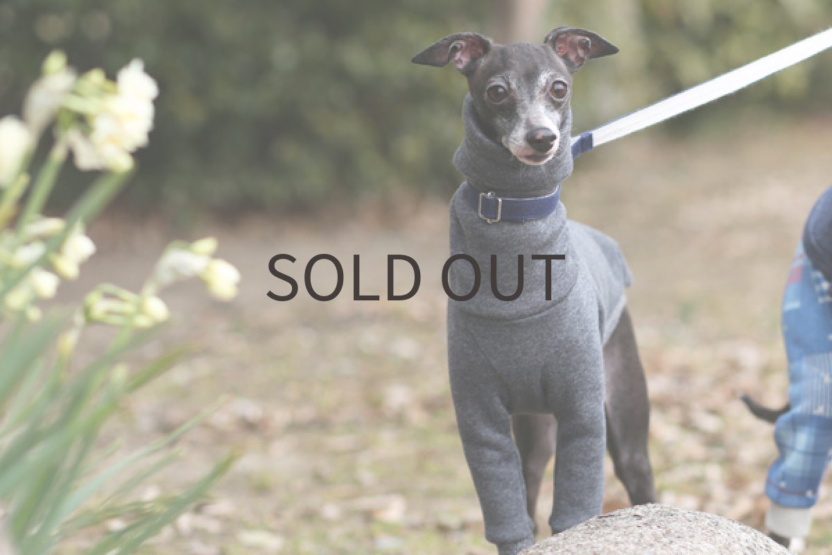 画像2: ふっくら裏起毛（チャコールグレー） (2)