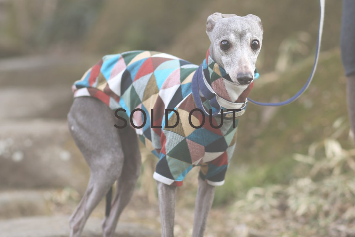 画像2: SANKAKUシャツ（空色） (2)