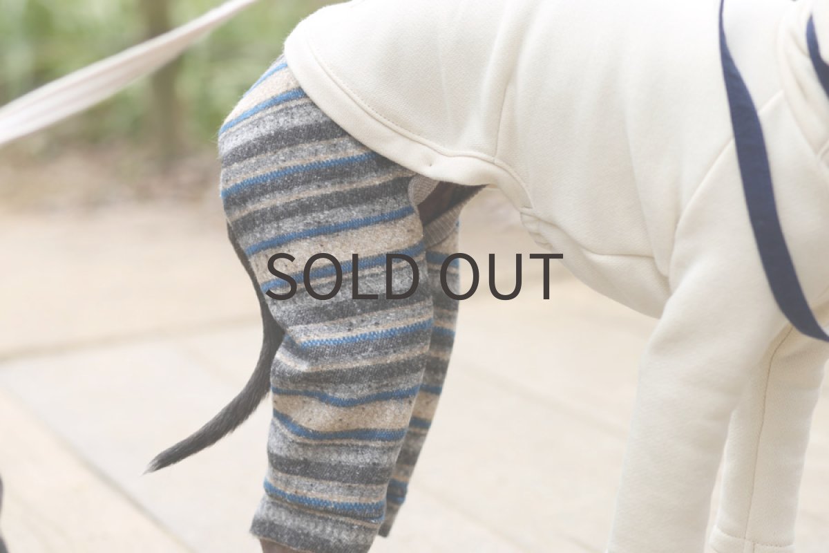 画像4: コットンボーダーパンツ(ブルー) (4)