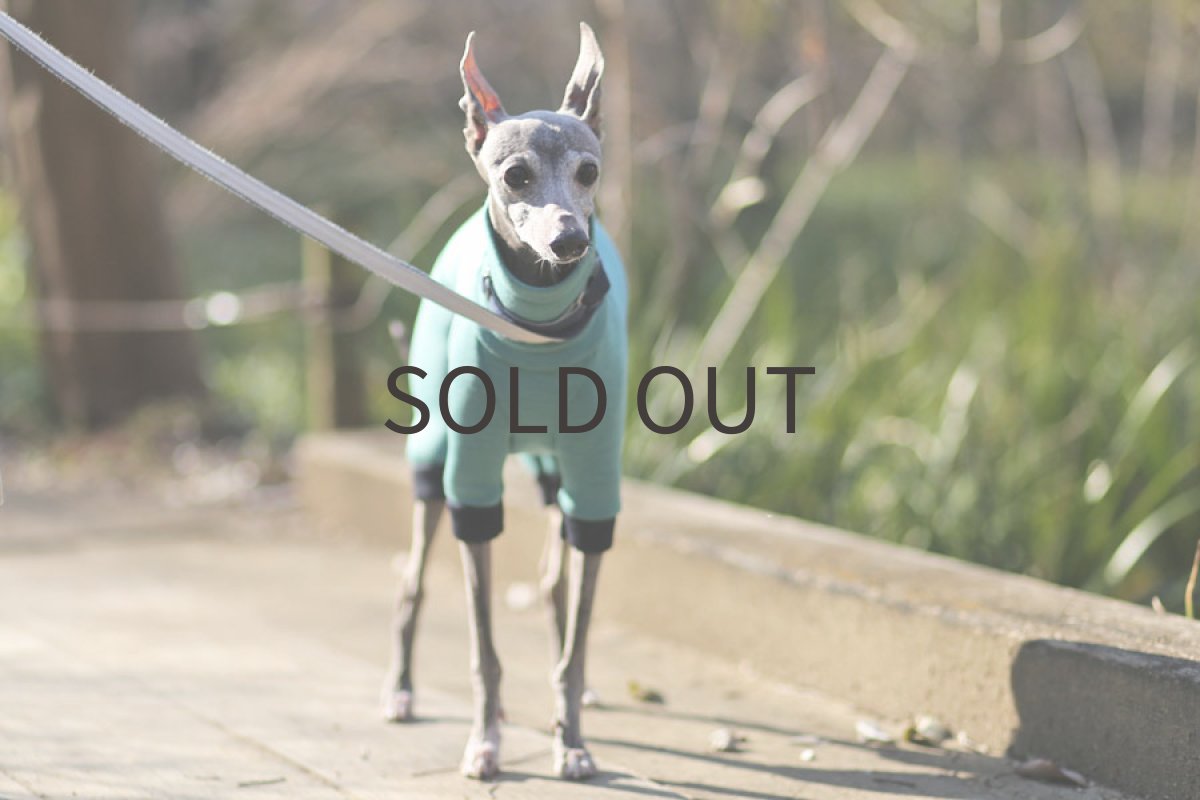 画像4: ハニカムメッシュ(アクア) (4)