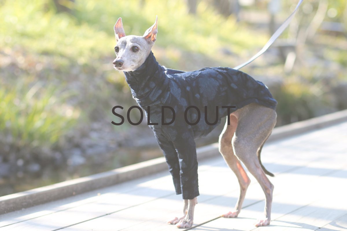 画像3: 花：ふくれ織り（ブラック） (3)