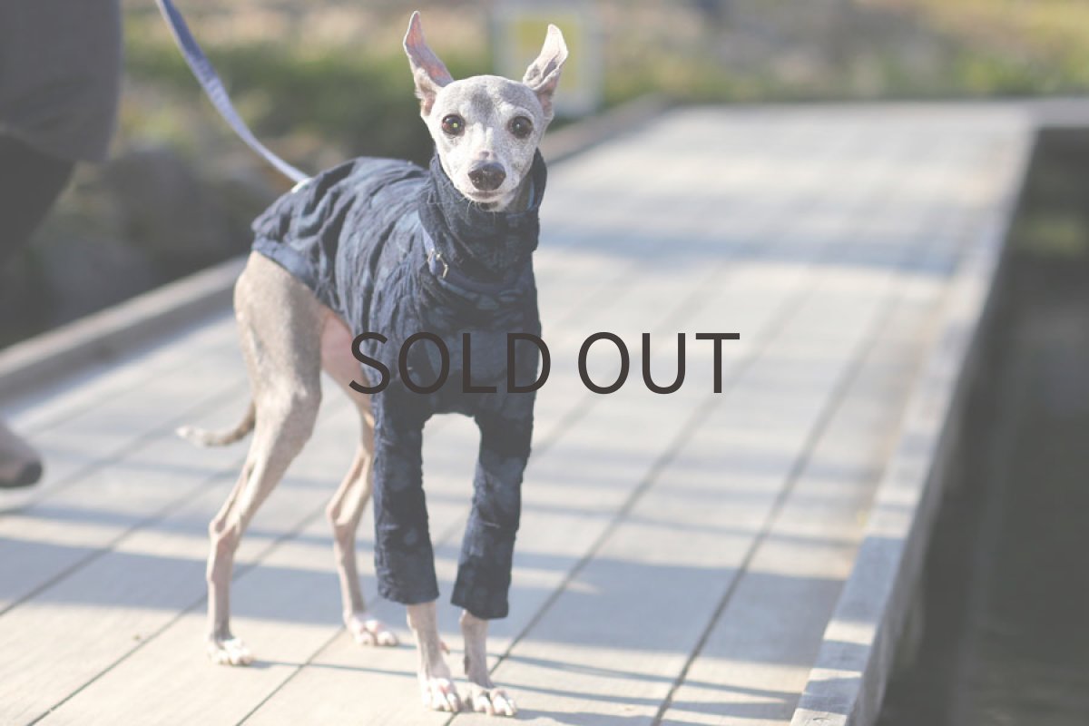 画像2: 花：ふくれ織り（ブラック） (2)