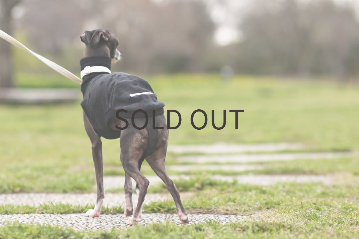 画像2: リネン刺繍【ちいさな実】 (2)