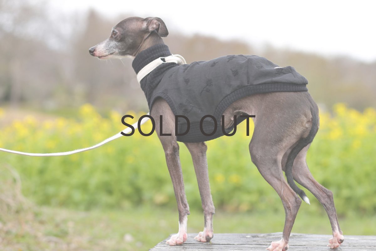 画像4: リネン刺繍【ちいさな実】 (4)