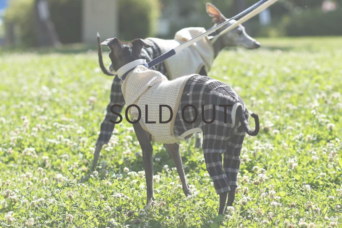 画像3: サマーベスト (3)