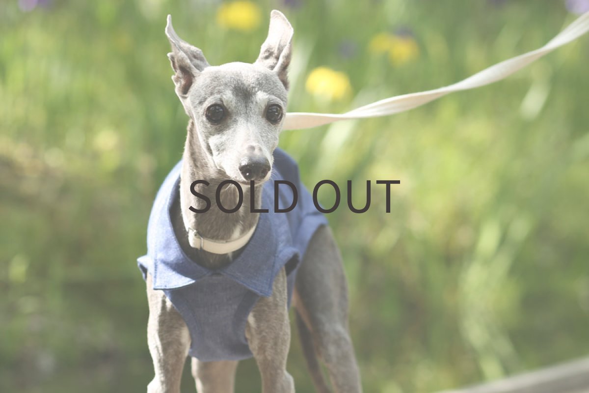 画像2: 綿麻ツイルのタックシャツ（紺瑠璃） (2)