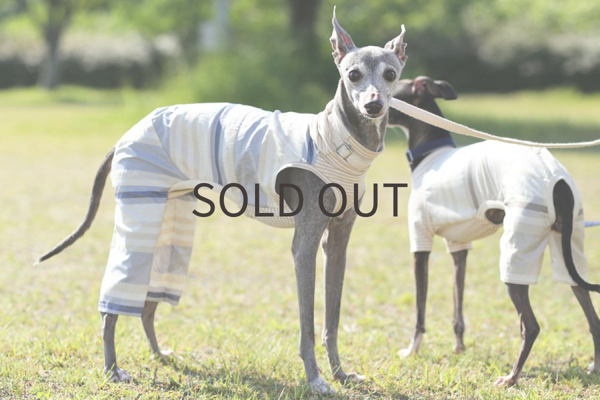 画像2: イタリー製タフタ(ブルー) (2)