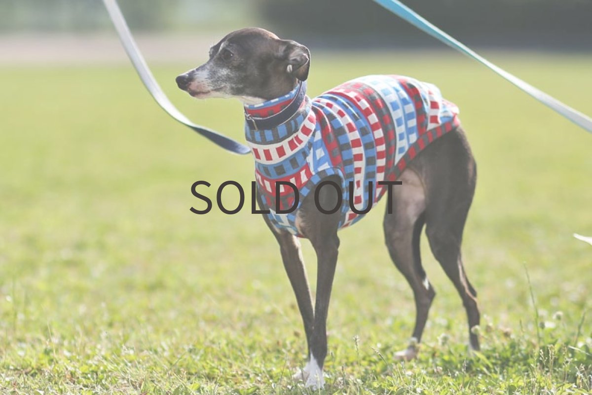 画像4: ポップビルヂング（レッド） (4)