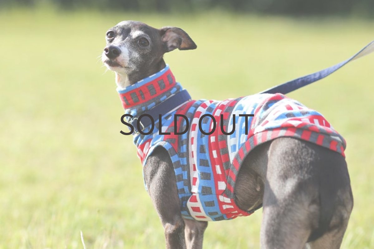 画像2: ポップビルヂング（レッド） (2)