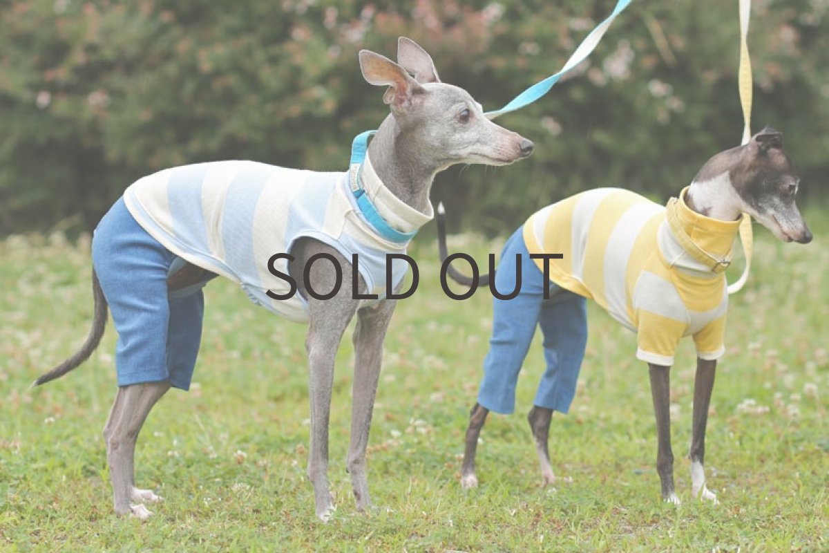 画像4: コットン太ボーダーのロンパ（ブルー） (4)