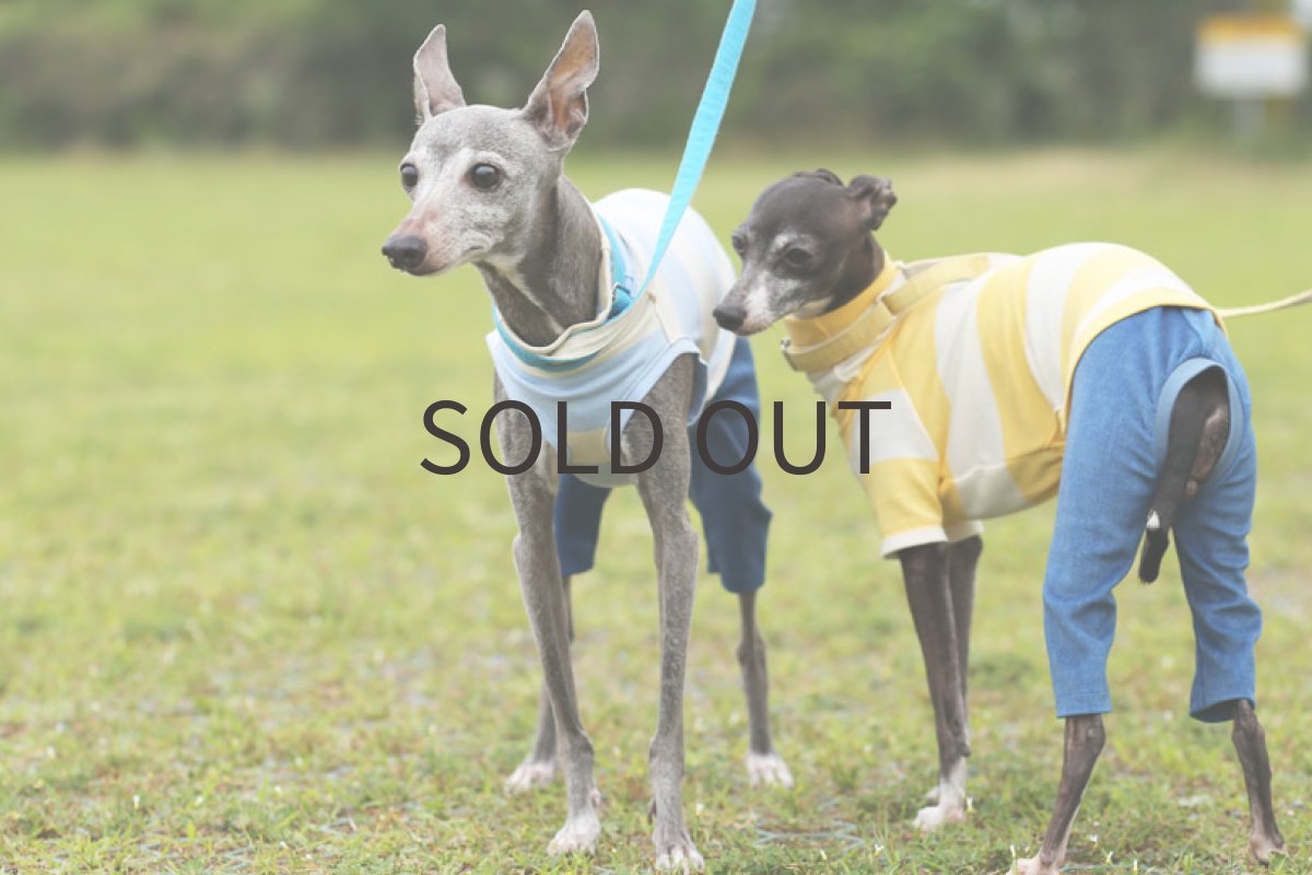 画像2: コットン太ボーダーのロンパ（ブルー） (2)