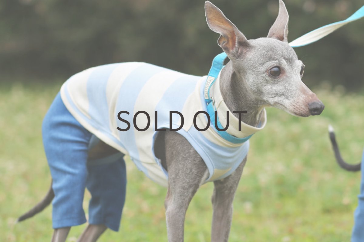 画像3: コットン太ボーダーのロンパ（ブルー） (3)