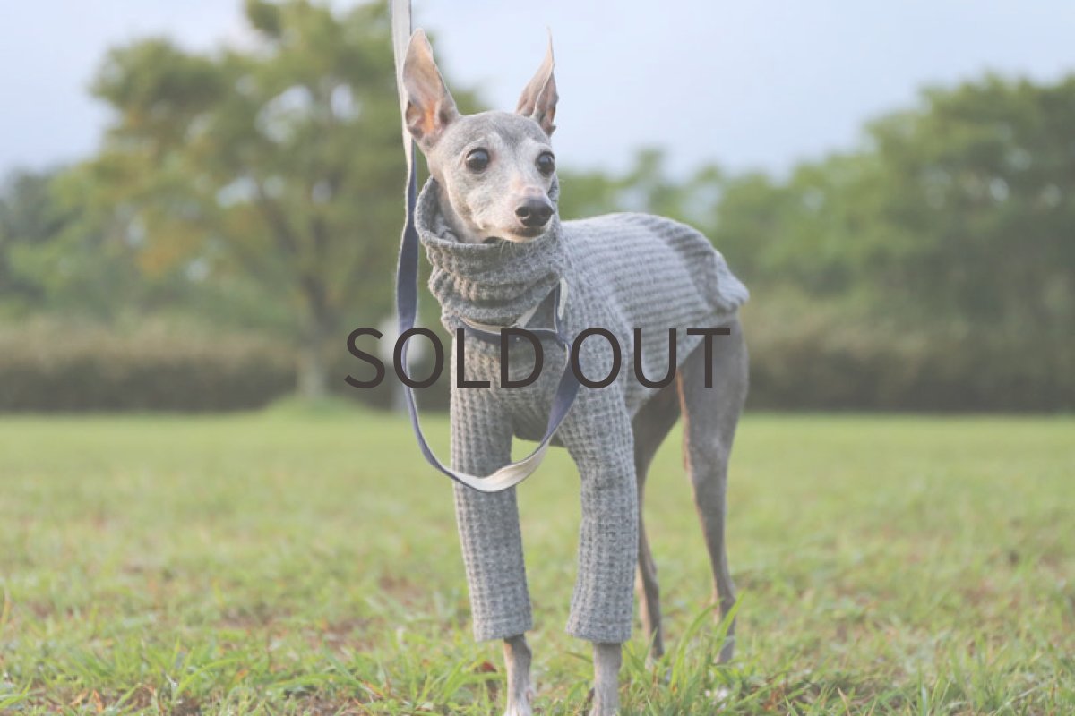 画像3: モーニンワッフル（グレー） (3)