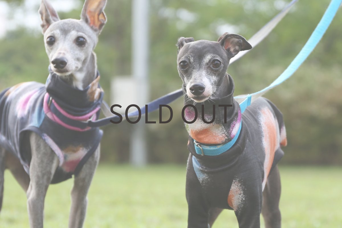 画像3: おぼろドット（チャコールブラウン）〜Mサイズまで (3)