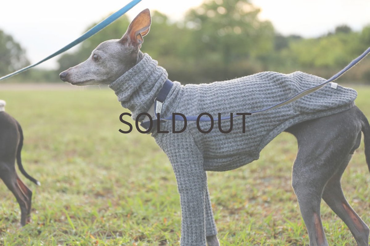 画像2: モーニンワッフル（グレー） (2)