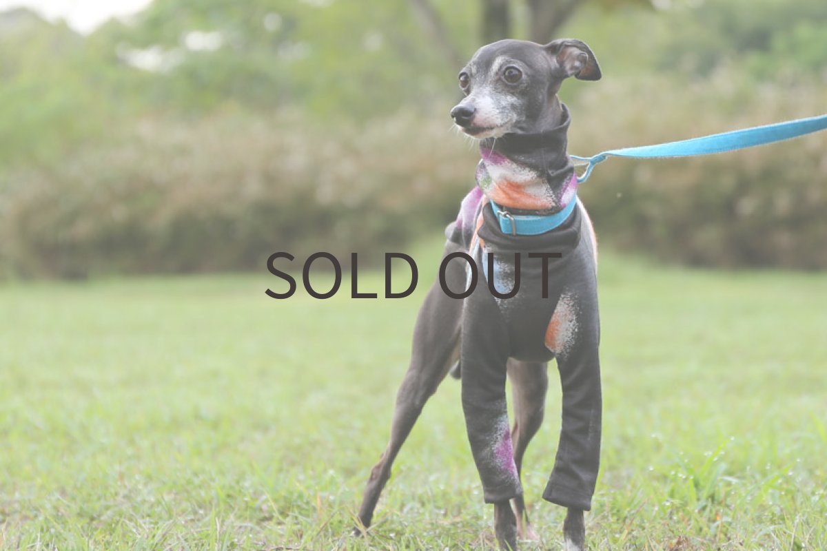 画像2: おぼろドット（チャコールブラウン）〜Mサイズまで (2)