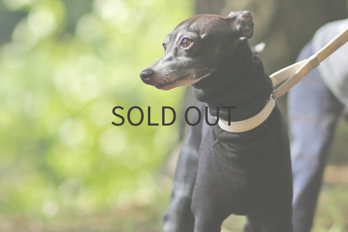 画像5: 裏起毛＋チェックパンツ（ブラック） (5)