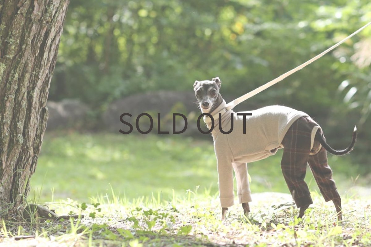 画像3: 裏起毛＋チェックパンツ（ベージュ）〜Mサイズまで (3)