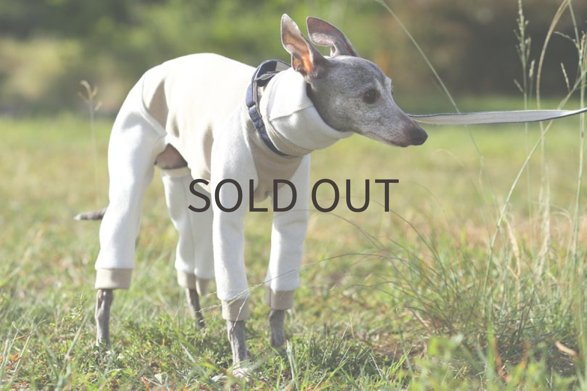 画像2: 裏起毛ツイルニット（ベージュ） (2)