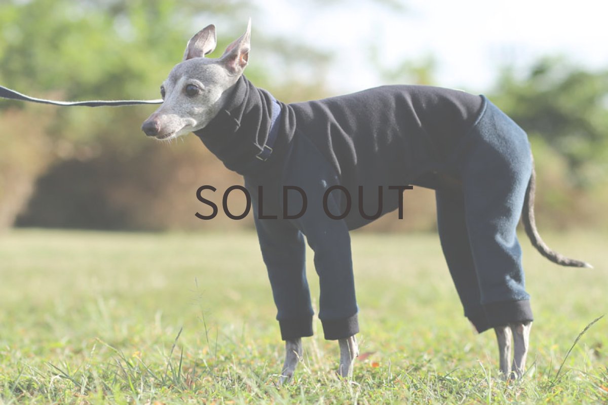 画像2: 裏起毛ツイルニット（ブラック）〜MLサイズまで (2)