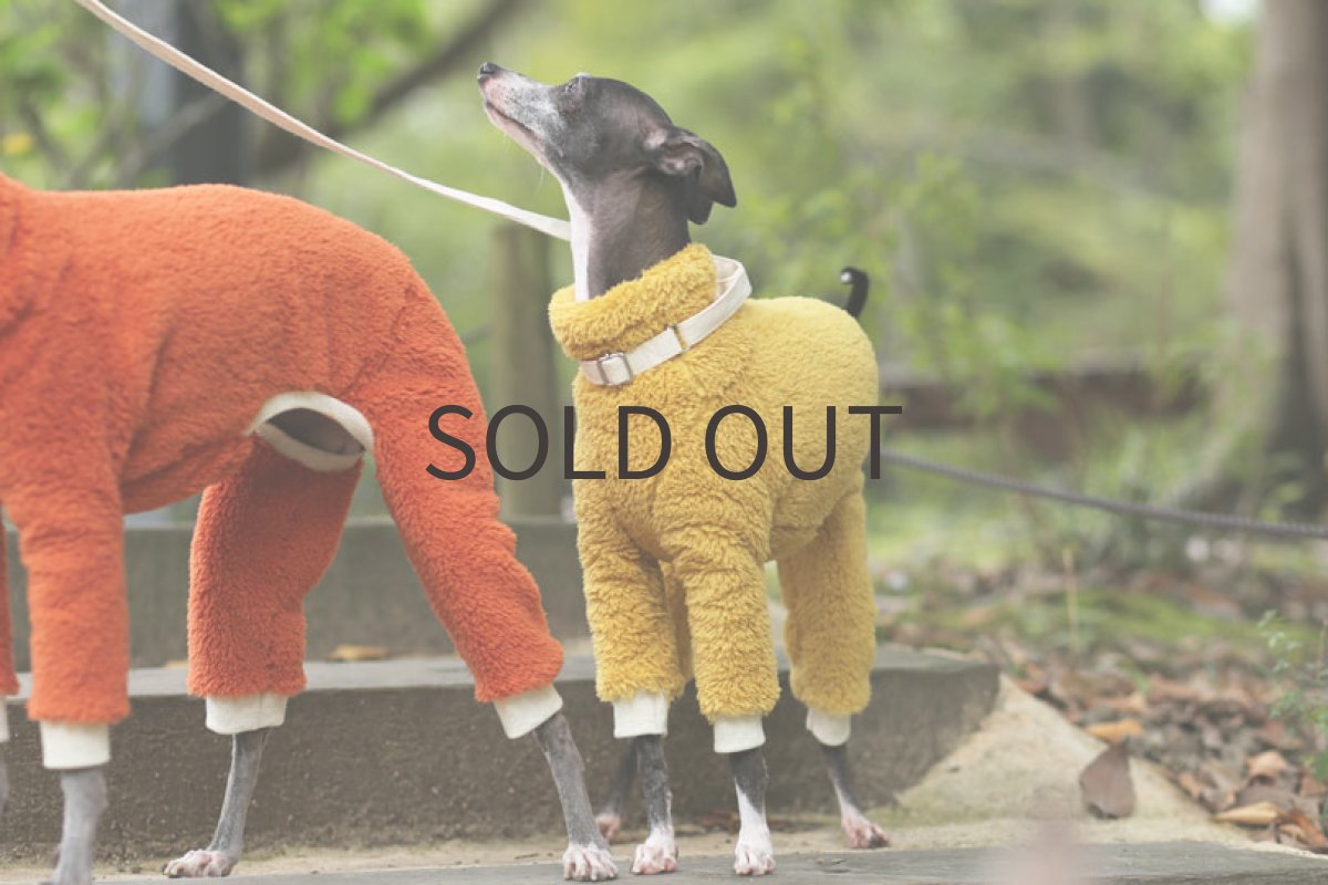 画像4: フワボア（からし）〜Mサイズまで (4)