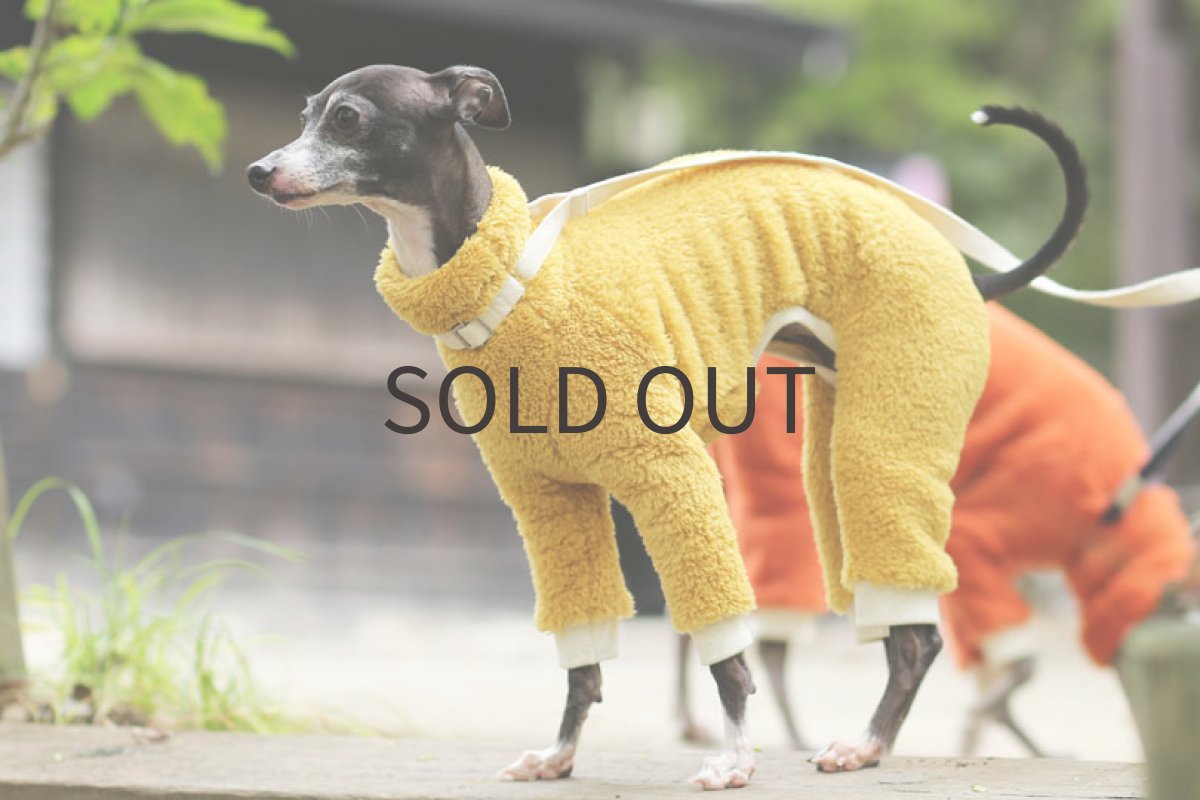 画像3: フワボア（からし）〜Mサイズまで (3)