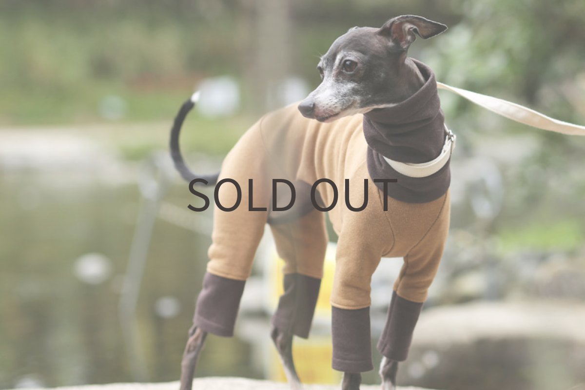 画像2: スーピマコットン切り替え（カフェオレ） (2)