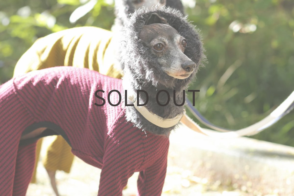 画像2: リングネック+ツイル（ボルドー）〜MLサイズまで (2)