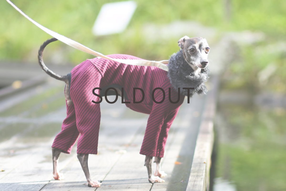 画像3: リングネック+ツイル（ボルドー）〜MLサイズまで (3)