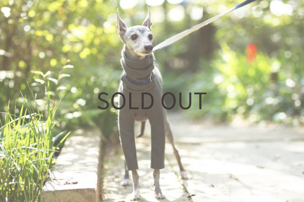 画像2: シャツ：ウールミルドニット（チャコール） (2)