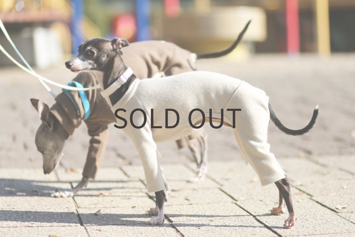 画像3: ウールミルドニット（アイボリー） (3)